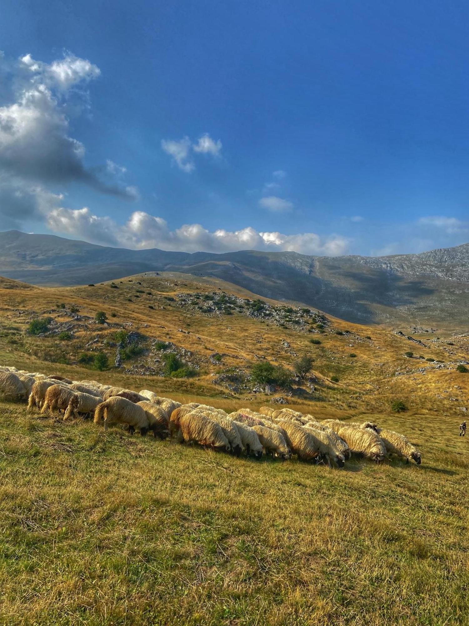 Konak Umoljani Εξωτερικό φωτογραφία